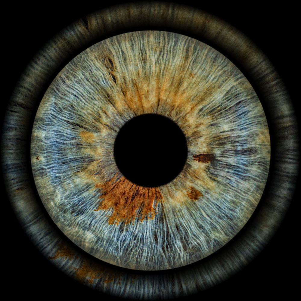 Extreme macro portrait of a single iris, blue outer ring with a fiery amber and rust centre